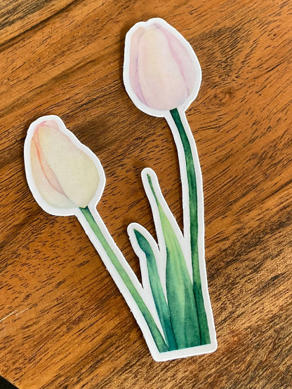 Tuesday Tulips