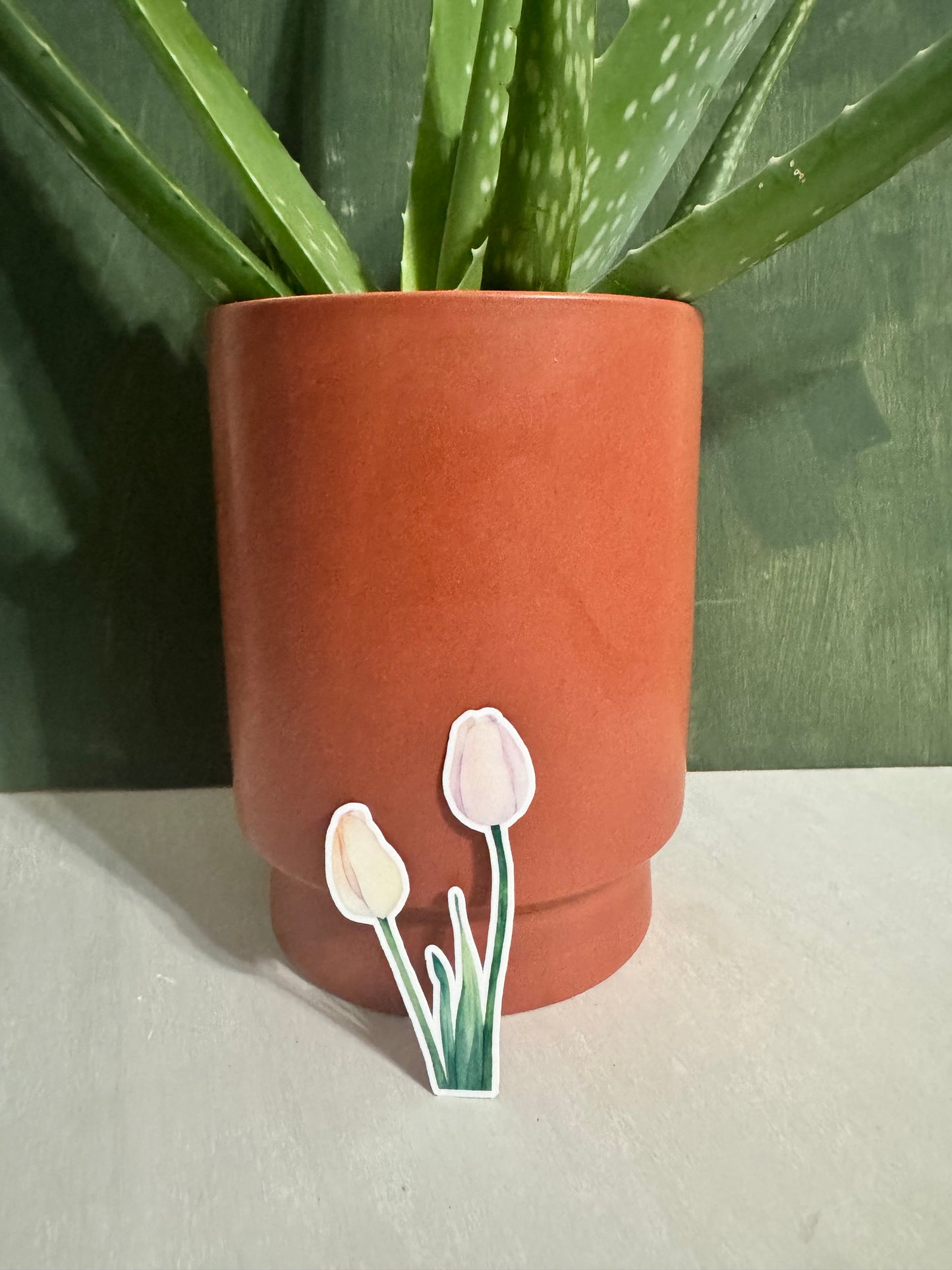 Tuesday Tulips