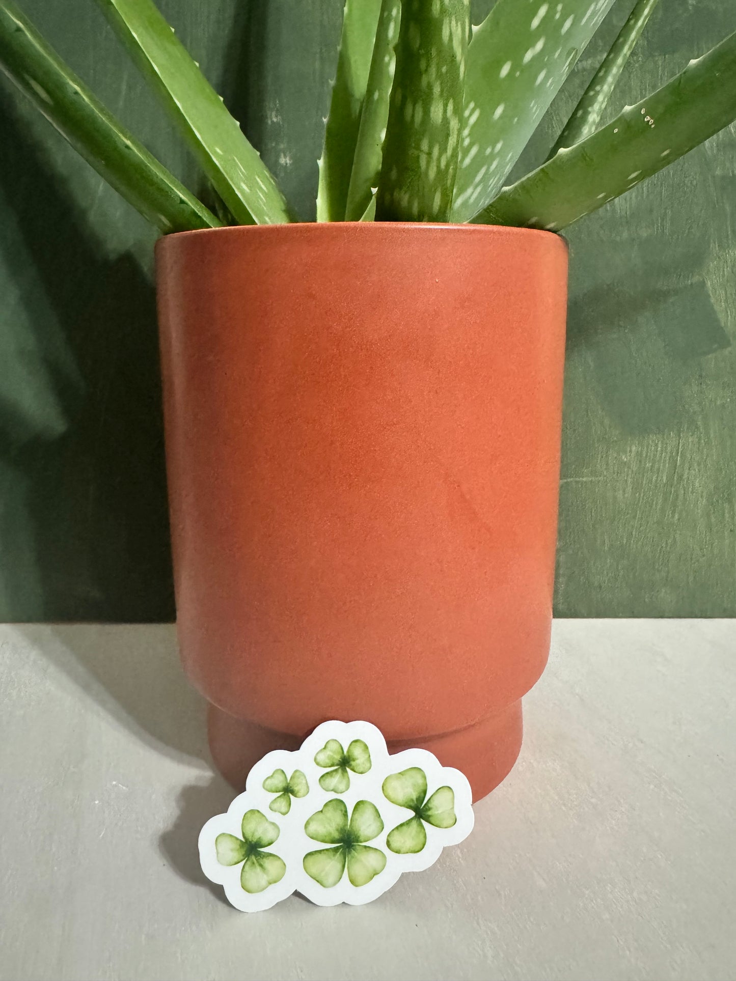 Clover patch